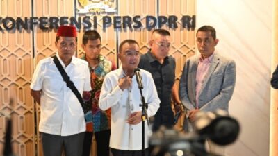 DPR Batal Revisi Undang-Undang Pilkada, Khawatir Masa Aksi Chaos