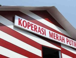 Koperasi Merah Putih: Strategi Baru Pemerintah Perkuat Ekonomi Desa