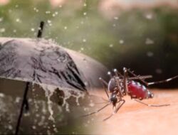 Waspada Malaria di Musim Penghujan, Dinkes Boalemo Imbau Warga di Sekitar Tambang Manfaatkan Cek Kesehatan Gratis
