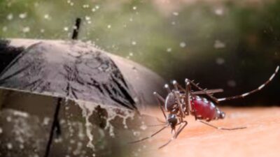 Waspada Malaria di Musim Penghujan, Dinkes Boalemo Imbau Warga di Sekitar Tambang Manfaatkan Cek Kesehatan Gratis