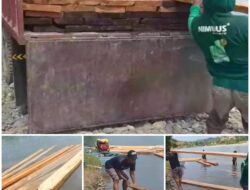 Parah! Kendaraan Dinas Berubah Fungsi, Truk Dishub Boalemo Diduga Jadi Angkutan Kayu Hasil Ilegal Logging
