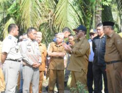 Pembangunan Batalyon Boalemo, Rum Pagau Tinjau Langsung Lahan Eks HGU
