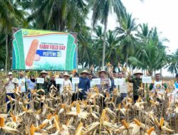 Wabup Lahmudin Pimpin Panen Raya Jagung di Huwongo, Boalemo Mantapkan Peran di Ketahanan Pangan Nasional