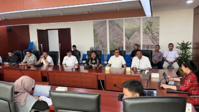 Bupati Rum Pagau Bahas Pengembangan RSUD Boalemo Lewat Skema KPBU di Bappenas
