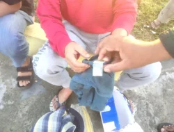 Bawa Paket Berisi Sabu, Kapten Kapal SPOB Duta Pertiwi Diciduk Polisi di Pelabuhan Tilamuta