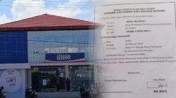 Merasa Sudah Klaim Asuransi, BRI Tilamuta Tetap Tagih Utang Nasabah yang Sudah Meninggal