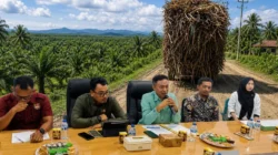 Menggugat Rakor GTRA Boalemo, Menakar Keberpihakan Sekda Mengurai Benang Kusut HGU, Plasma, dan Izin HTE Baru