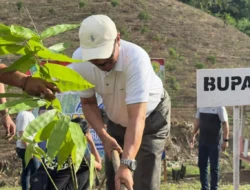 Bambu Petung Jadi Mesin Baru Ekonomi Rakyat Boalemo