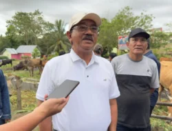 Kementan Bikin Mimpi Boalemo Jadi Sentra Sapi Unggul Makin Nyata