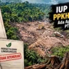 IUP Terbit, PPKH Belum Ada: Ada Apa dengan Eksplorasi PT CBM?