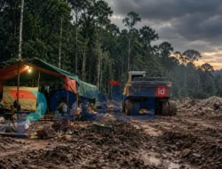 Jika Sambati dan Paguyaman Ditertibkan, Lalu Siapa yang Menjaga Tambang di Sari Tani dan Tangga Barito?