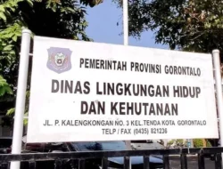 ​Bantah Isu Tinggalkan Daerah Saat Karhutla, Kadis DLHK: Jangan Asal Buat Opini