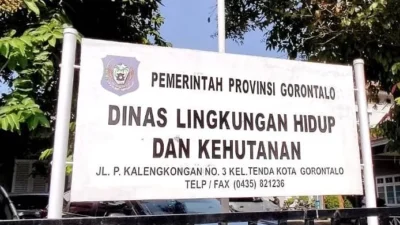 ​Bantah Isu Tinggalkan Daerah Saat Karhutla, Kadis DLHK: Jangan Asal Buat Opini